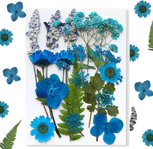 Flowers for Resin Model, Real Pressed Flowers Dry Leaves Bulk Natural Herbs Kit for Scrapbooking DIY Art Crafts, Epoxy Jewelry, Candle, Soap Makin...