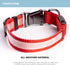 Silver Paw Light Up Dog Collars, LED USB Rechargeable Dog Collar, Waterproof & Durable (Red,S)...