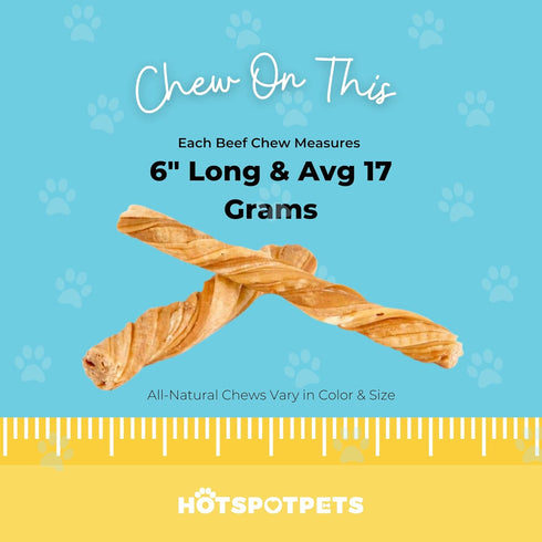 hotspot pets Tripe Twists for Dogs - Premium All Natural Beef Sticks - Single Ingredient Crunchy Dog Chew Treats - Rawhide Free -6 Inch Dog Treats...