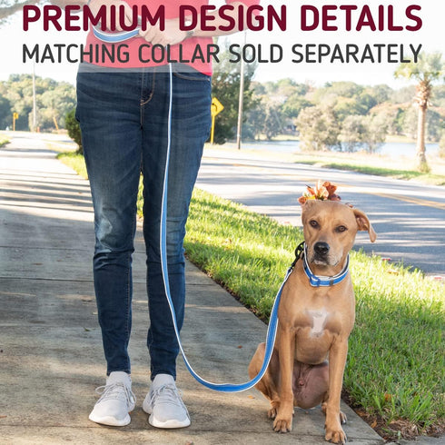 Leashboss 6ft Dog Leash | Ultra Comfort Double-Thick Soft Padded Handle | Reflective Leash for Large Dogs, Medium Dogs | Heavy Duty Leash for Larg...