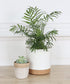 kubvici 8'' Plastic Flower Planter Pots Set of 2 Indoor Outdoor Planters with Drainage Saucer for Garden Home (Green & White, 8 inch)...