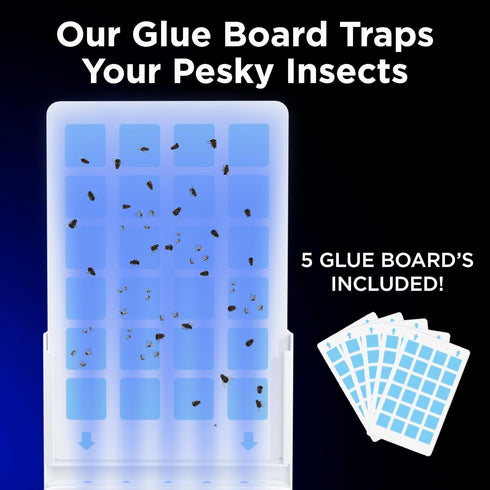 MiniMax Plug in Fruit Fly Traps for Indoors! A Flying Insect Trap with UV LED Bulbs & 5 Glue Board Refills! Gnat Trap used as a Fruit Fly Killer, ...