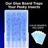 MiniMax Plug in Fruit Fly Traps for Indoors! A Flying Insect Trap with UV LED Bulbs & 5 Glue Board Refills! Gnat Trap used as a Fruit Fly Killer, ...