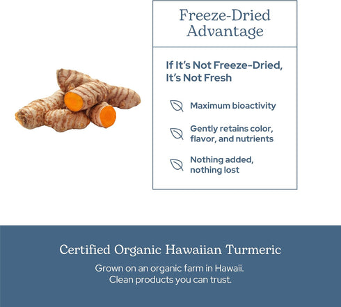 ECLECTIC INSTITUTE Raw Freeze-Dried Turmeric | US Grown | Vegetarian, Non-GMO, Gluten Free | 90 CT (395 mg)...