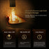 6 Pack ST19(ST58) LED Edison Bulb, Vintage LED Filament Bulb,Softy White 2700K, Antique Flexible Spiral LED Filament Light Bulb, Dimmable 600LM, 6...