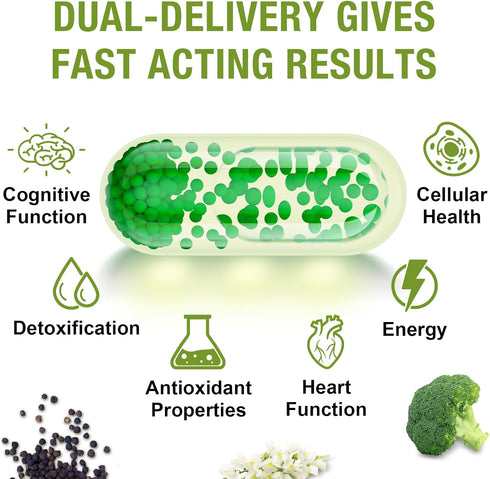 800 MG Liposomal Sulforaphane, Powerful Dual-Delivery for Maximum Absorption & Potency, Full-Spectrum Broccoli Extract, Antioxidant & Liver Supple...
