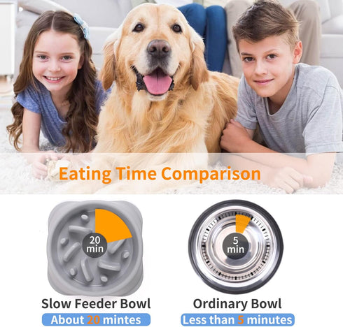 NOYAL Slow Feeder Dog Bowls Puzzle Anti-Gulping Interactive Bloat Durable Preventing Choking Healthy Dogs Bowl...