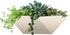 The HC Companies 8 Inch Deco Faceted Plastic Succulent Bowl - Decorative Indoor Planter with Drainage Hole, Vanilla Bisque...