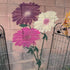 Large Daisy Stencils for Wall Fence Flower Stencils for Painting 14” Flowers Stencil for Home Garden Decor...