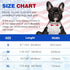 BiPawTi American Flag Dog Collar with Bowtie, 4th of July Dog Collar Holiday Pet Gift, Blue Pride Patriotic Dog Collar, USA Dog Collar for Indepen...