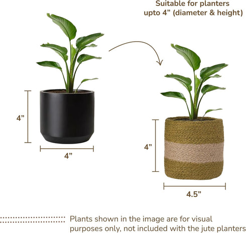 Jute Planter Basket-Woven Jute Rope Covers for Decorating Indoor/Outdoor Succulents, Small Plant Pots-Set of 2-Multi-Purpose Storage Bins 4.5 Inch...