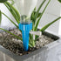 12x Automatic Garden Cone Watering Spike for 2-Liter Bottles - Plant Flower Waterers Bottle Irrigation (Green & Blue)...