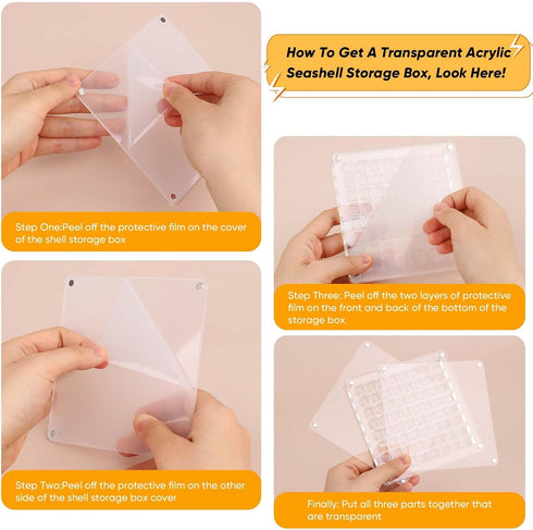36 Grids Acrylic Magnetic SeaShell Display Box, Transparent Seashell Storage Box, Square Jewelry Display Cases Craft Storage Box for Seashell, Gem...