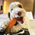 SPOT Bam-Bones Dental Bone - Made with Bamboo Fiber and a Massaging Rubber Center, Durable Oral Care Dog Chew for Light Chewers & Teething Puppies...
