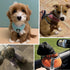 Puppy Harness and Leash Set - Dog Vest Harness for Small Dogs Medium Dogs- Adjustable Reflective Step in Harness for Dogs, Cats - Soft Mesh Comfor...