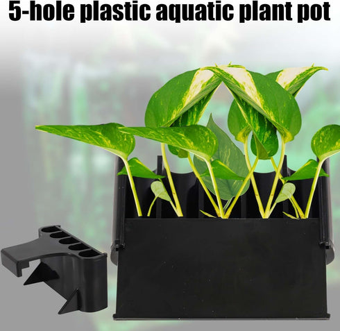 2pcs Aquarium Plant Holder, 5 Holes Top Rimmed Aquarium Floating Planter Box Plastic Aquatic Plant Cup Holder Hanging Aquarium Plant Basket Rack S...