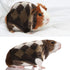 4 Pieces Guinea Pig Clothes Costume for Guinea Pig Ferret Sweater Bunny Hamster Clothing Guinea Pig Outfits Small Animal Warm Vest Winter Pet Swea...