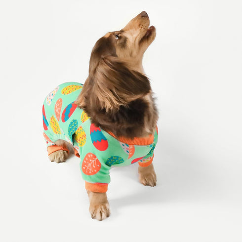 Fitwarm Easter Egg Dog Pajamas, Holiday Dog Clothes for Small Dogs Girl Boy, Pet Easter Outfit, Puppy Cat Onesie, Lightweight Velvet, Light Green,...