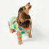 Fitwarm Easter Egg Dog Pajamas, Holiday Dog Clothes for Small Dogs Girl Boy, Pet Easter Outfit, Puppy Cat Onesie, Lightweight Velvet, Light Green,...