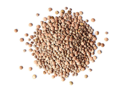 Food to Live - Whole Red Lentils, 8 Ounces – Dry Raw Lentils, Sproutable, Vegan, Kosher, Bulk. Quick-Cooking. Good Source of Dietary Fiber, and Pr...