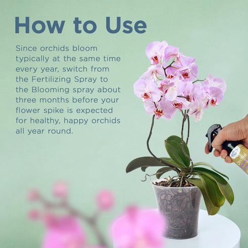 Orchid Fertilizing Spray - Perfect Nutrition and Humidity The Bring Dormant Orchids Back to Life - 8 oz...