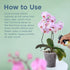 Orchid Fertilizing Spray - Perfect Nutrition and Humidity The Bring Dormant Orchids Back to Life - 8 oz...