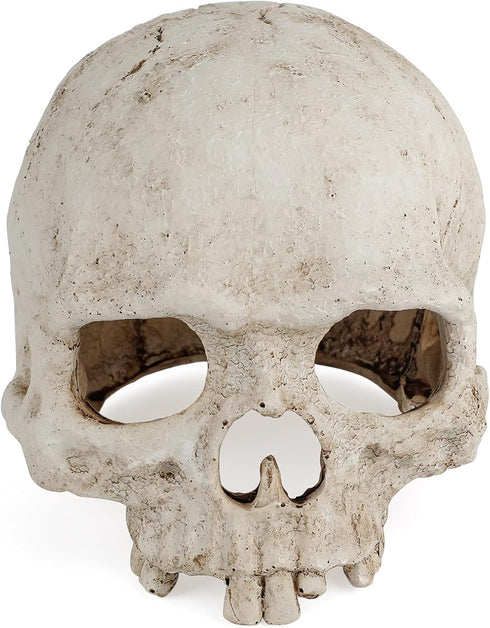 Uniclife Aquarium Skull Reptile House Decor Resin Head Skeleton Ornament for Tank Landscape Decorative Hideout Cave Shelter for Small Fish Shrimp ...