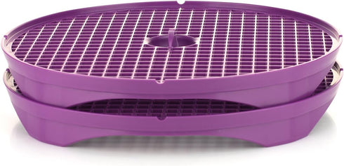 Boerner Crispymaker Set (Set of 2/ Violet) • Microwave Chips Crisp Maker • Make Fresh Homemade Crisps in Minutes • Vegetable Chips without Oil...