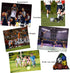 Heavy Duty Mesh Ball Bag, Drawstring Sport Equipment Storage Bag for Basketball, Soccer, Sports Beach and Swimming Gears with Adjustable Shoulder ...