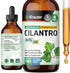 Cilantro Supplement - Organic Cilantro Leaf Tincture - Rich Source of Antioxidants - Natural Body Cleansing & Detox Liquid - Vegan, Alcohol Free D...