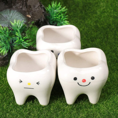 Ceramic Planter Ceramic Planter 2pcs Ceramic Tooth Planter Mini Porcelain Succulents Flower Pot Cute Pen Pencil Holder for Office Home Desk Decor ...