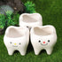 Ceramic Planter Ceramic Planter 2pcs Ceramic Tooth Planter Mini Porcelain Succulents Flower Pot Cute Pen Pencil Holder for Office Home Desk Decor ...