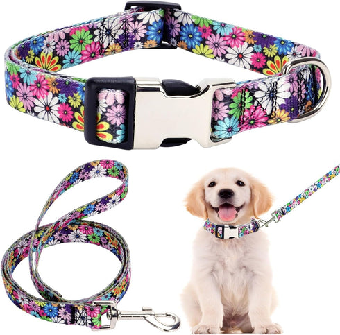 Puppy Collar and Leash Set for Daily Outdoor Walking Running Training, Design for Extra Small Boys Girls Dogs Cats Pets, (Colorful Daisies M)...