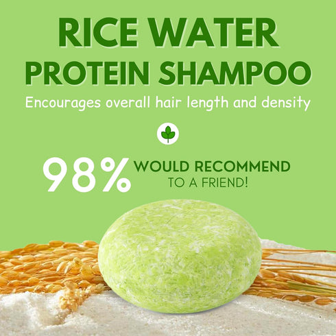 Shampoo Bar Pack 3 - Mix Ginger Rosemary & Rice Water - pH Balanced Hair Growth, Anti Hair Loss, Hair Regrowth Solid Soap Easy for Travel - Sulfat...