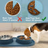 BNOSDM Slow Feeder Dog Bowls Double Puppy Slow Feeder No Spill Non-Skid Silicone Mat Dry Food Slow Eating Bowl Removable Stainless Steel Pet Bowls...