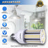 Amazon High Brightness LED Light Bulb 2 Pack 30W-300W/LED Corn Bulb, 30 watt LED Corn Bulb, E26 Base, 5000K LED Bulb, Suitable for Garage Warehous...