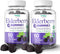 Elderberry Gummies with Vitamin C and Zinc - Immune Booster Elderberry Gummies For Adults and Kids - Vegan Natural Ingredients Defense Multivitami...