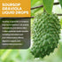 Soursop Graviola Liquid Drops 1500mg - Soursop Leaves & Fruit with Green Tea, Black Seed Oil, Turmeric for Cell Support, Immune, Antioxidant - Sou...