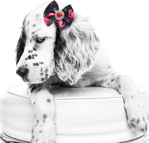 40PCS Christmas Dog Bows Cute Puppy Dog Small Bowknot Hair Bows with Rubber Bands Small Dog Hair Bowknot Pet Hair Accessories Pet Grooming Accesso...