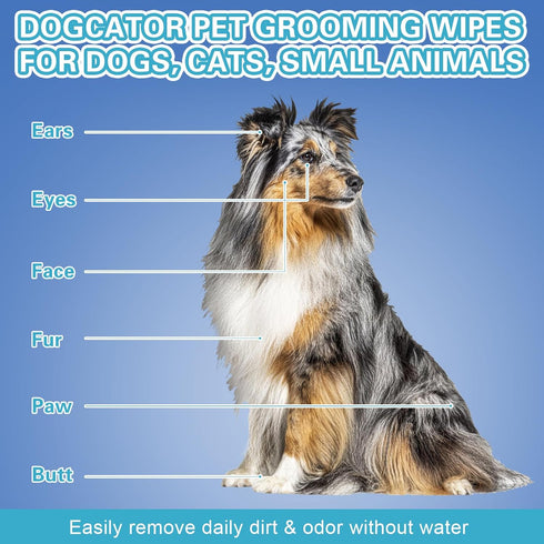 Dog Glove Wipes for Cleaning Paws Butt | Pet Grooming Deodorizing Dog Ear Glove Wipes | Fragrance Free Natural Puppy Glove Wipes | Soothes Itchy D...