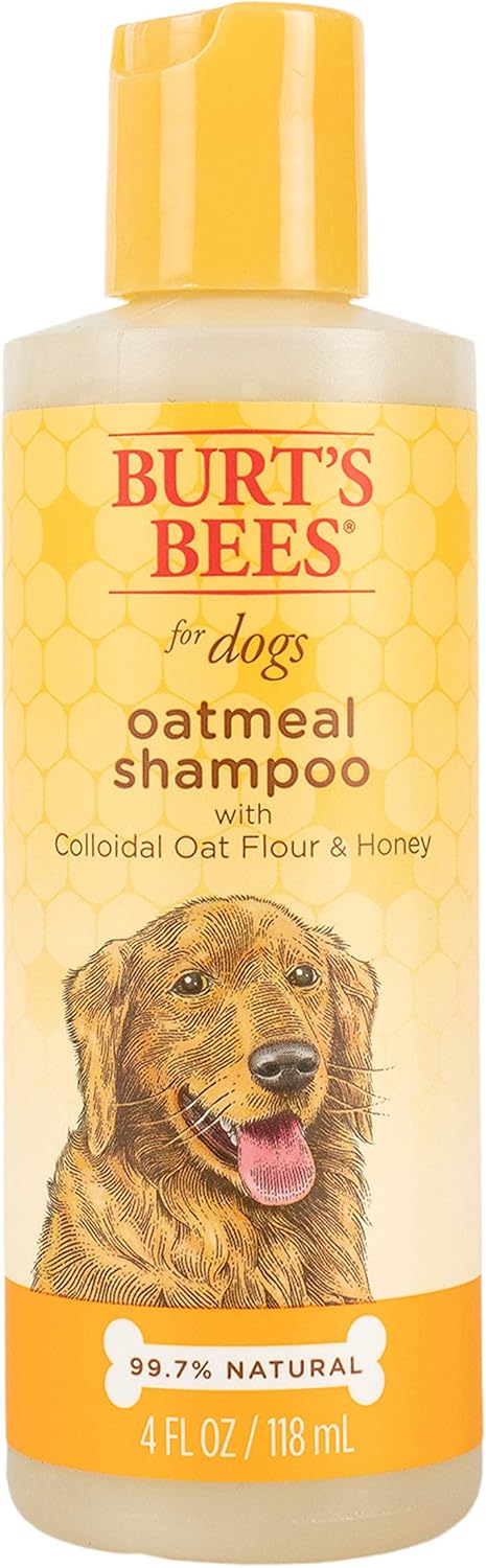 Burt's Bees for Pets Naturally Derived Oatmeal Shampoo with Colloidal Oat Flour and Honey - Oatmeal Dog Shampoo to Soothe and Cleanse Dogs Skin an...