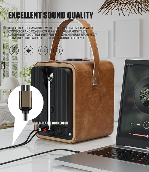 3.5mm to 2RCA Cable,Headphone Male to Male Jack Adapter Nylon Braided 1/8 to RCA Audio Y Cord, Gold-Plated Plugs, for Smartphones, MP3, Tablets, H...