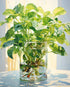 Tucocoo Green Plants in Glass Vase Oil Painting Paint by Number Kits 16 x 20 inch Canvas Plants DIY Oil Painting for Kids Students Adults Beginner...