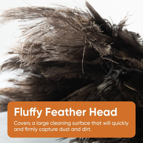 Superio Ostrich Feather Duster Fluffy Dust Remover, with Wooden Handle Reusable for Cleaning Homes, Ceilings, and Furniture (3 Pack) (1 Pack)...