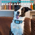 Regal Dog Products Medium Blue Waterproof Dog Collar with Heavy Duty Black Hardware Buckle & D Ring | Vinyl Coated, Adjustable Biothane Dog Collar...