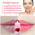 6 Pack Crystal Flower Jelly Lipstick,Magic Color Changing Lipstick,PH Clear Temperature Color Changing Lip Gloss,Lip Balm,Long Lasting Nourishing ...