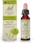 Bach Original Flower Remedies, Chestnut Bud for Learning from Mistakes (Non-Alcohol Formula), Natural Homeopathic Flower Essence, Holistic Wellnes...