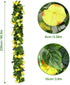 AirSun Artificial Morning Glory Flower Vines, 2pcs 15Feet Hanging Plants Silk Garland Fake Green Plant Home Garden Wall Fence Indoor Outdoor Weddi...
