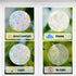 GORGECRAFT 6x7 Inch Leaf Window Clings Static Rainbow Window Stickers Anti-Collision Glass Decals Sun Catcher Decorations Non Adhesive Prismatic V...