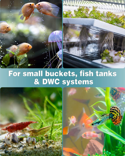 Pawfly Aquarium 1.2 Inch Air Stone Ball Bubble Diffuser Release Tool for Air Pumps Fish Tanks Small Buckets and Koi Ponds, 6 Pack...